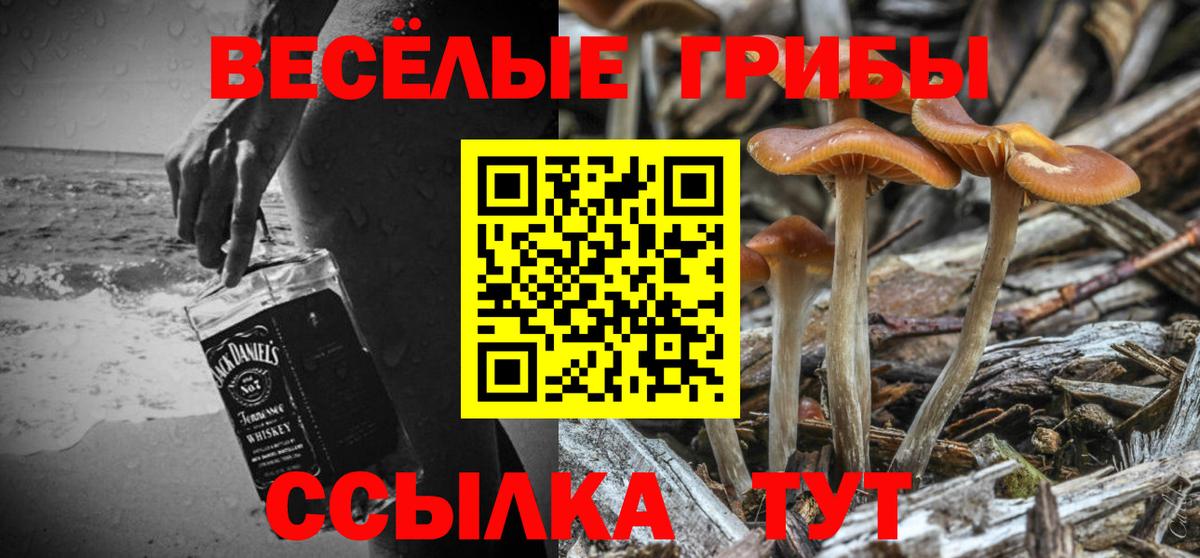 Богородицк  Галлюциногенные грибы мицелий  Вход с VPN 